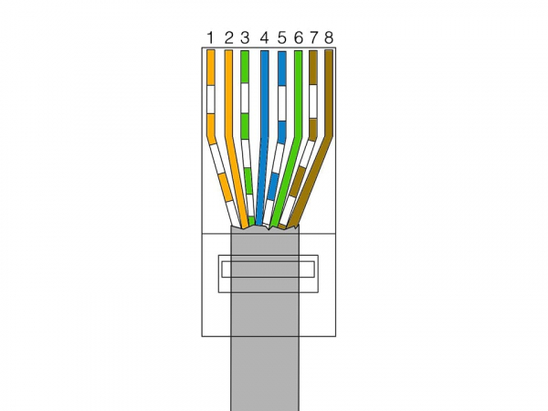 Как обжать витую пару для роутера (8 жил)
