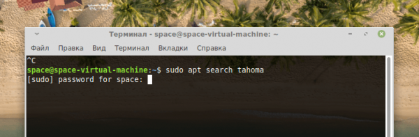 Устанавливаем шрифты в Linux